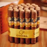 Cohiba Siglo I reprezintă epitaful rafinamentului și luxului în lumea trabucurilor.