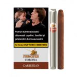 Tigari-de-foi-Aurora-Principes-Corona-Caribbean-ROM-5