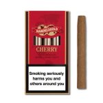 Tigari-de-foi-Handelsgold-Wood-Tip-Red-cirese-5