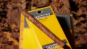 Țigări de foi cubaneze Cohiba Club 10 – pachet galben pe frunze de tutun