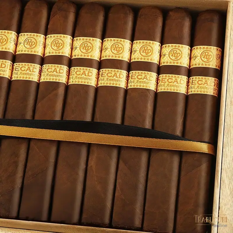 Cutie Rocky Patel Decade cu trabucuri premium