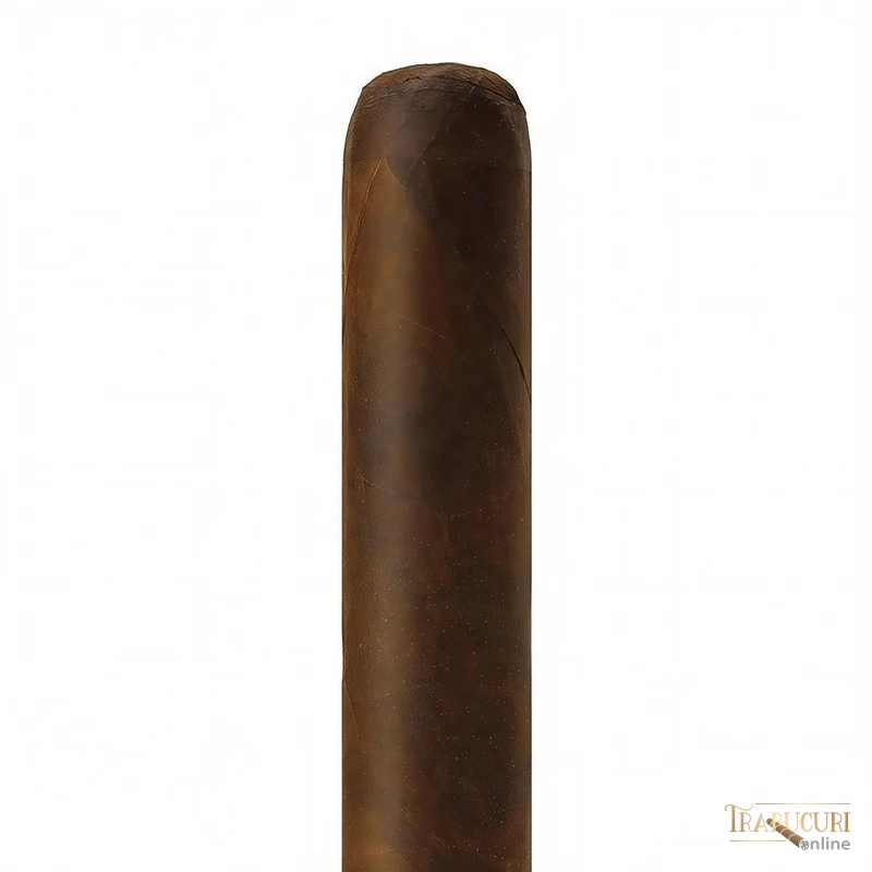 Colecție Rocky Patel The Edge Maduro Toro