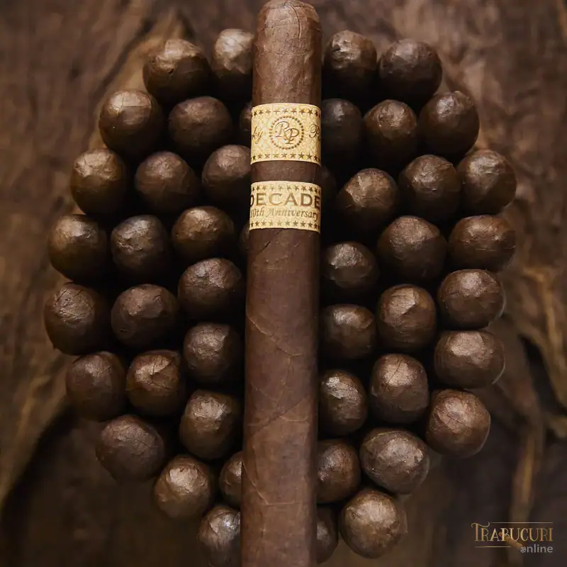 Detaliu construcție trabuc Rocky Patel Decade Toro
