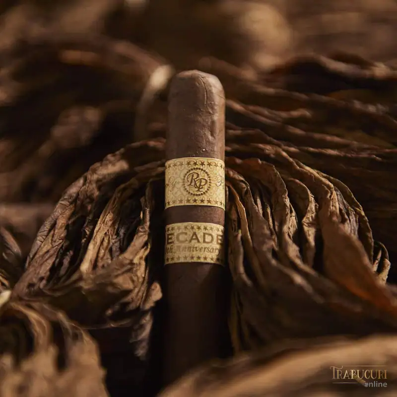 Detaliu înveliș și inel Rocky Patel Decade Toro