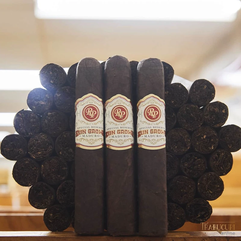 Cutie Rocky Patel Sun Grown Maduro cu trabucuri premium