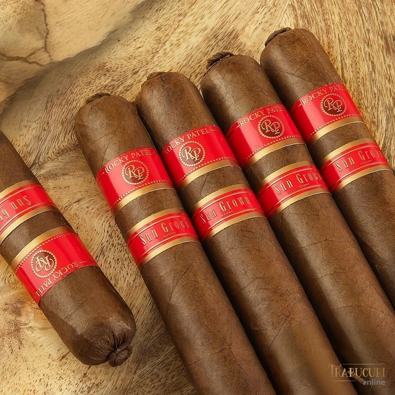 Înveliș uleios Ecuadorian Sun Grown Sumatra maturat 5 ani - Rocky Patel Sixty