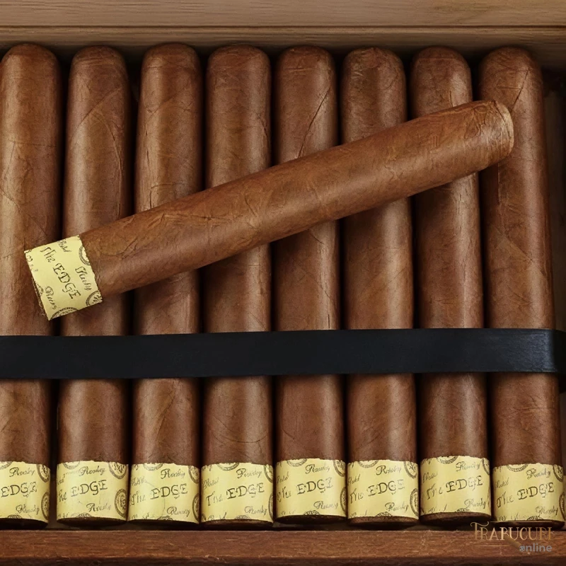 Textură uleioasă înveliș Honduran Corojo maturat - Rocky Patel Robusto
