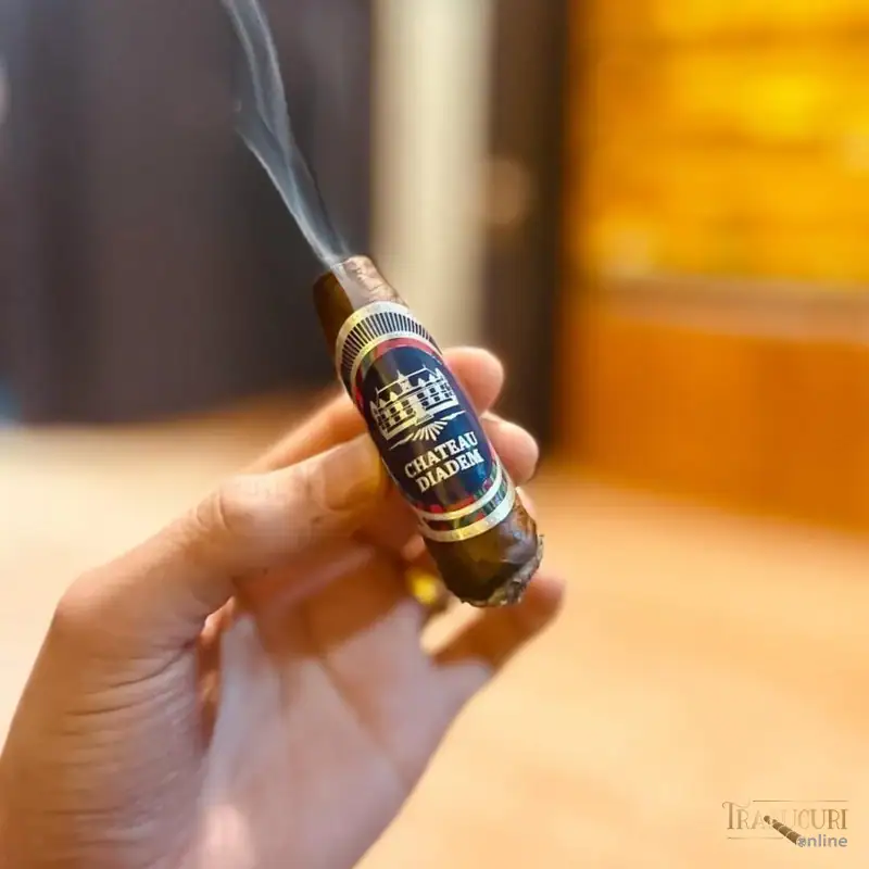 Trabuc Chateau Diadem Conviction Belicoso la bucată - trabuc Conviction Belicoso ținut în mână