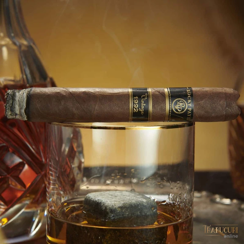 Experiență de degustare Rocky Patel Vintage 1992 Toro